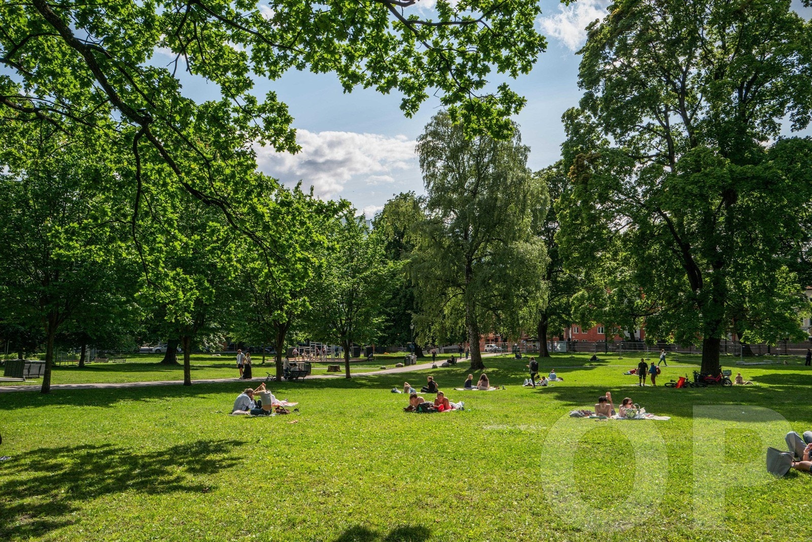 Kun en kort spasertur unna ligger Sofienbergparken, et populært samlingspunkt for grilling og sosialt samvær. Galleribilde