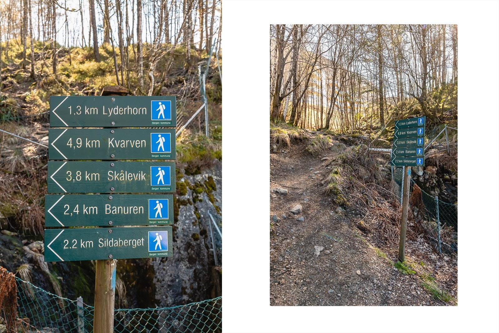 Like bak leiligheten går det tursti opp til ett av 7 byfjell - Lyderhorn. Galleribilde