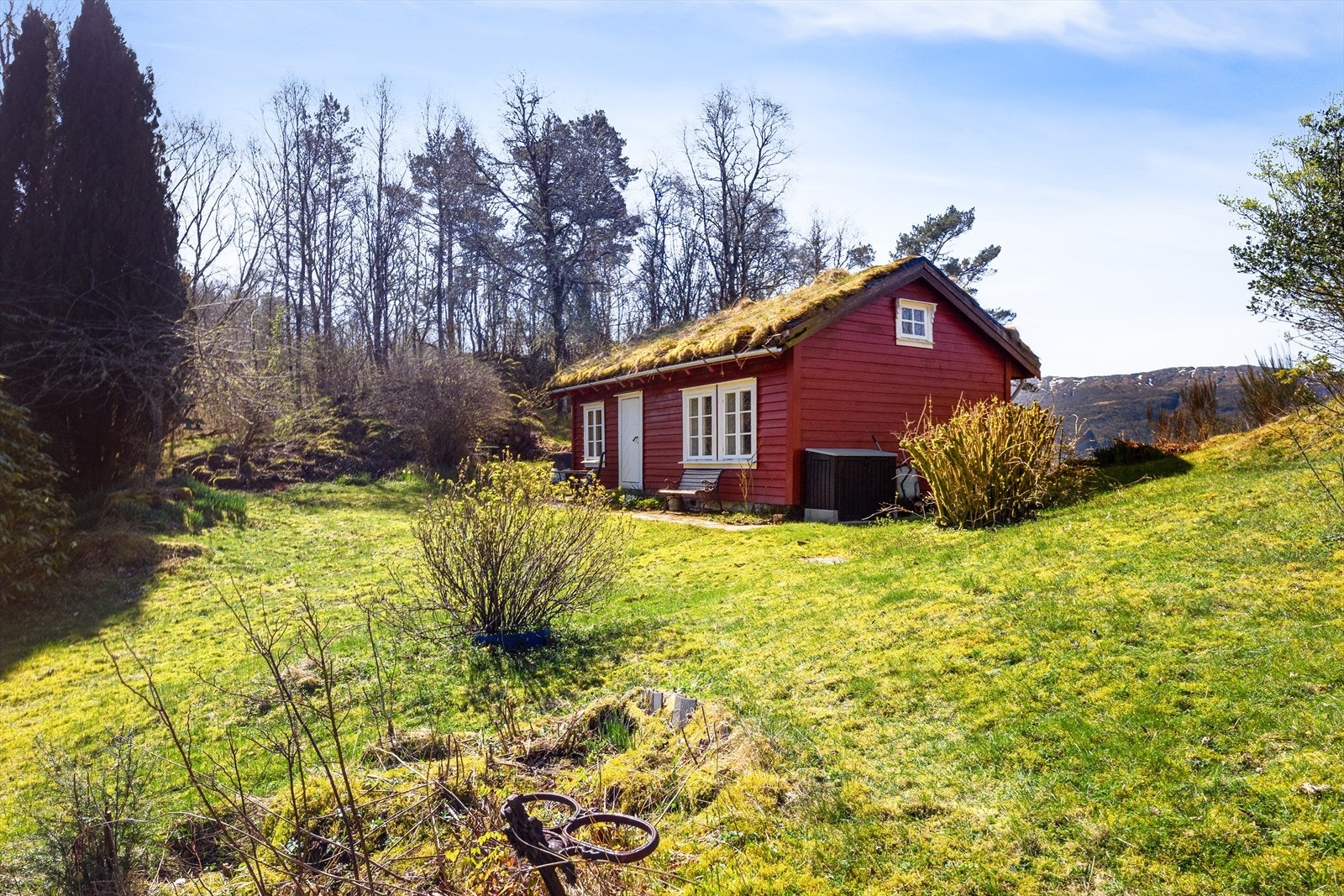 Her finnes også naturlig forekomst av kantarell og svart trompetsopp - perfekte forhold for deg som ønsker å høste av naturens egne ressurser rett utenfor døren. Galleribilde