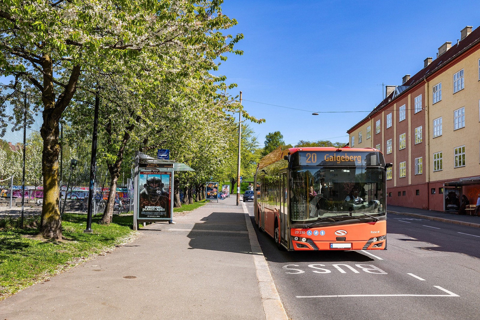 20-bussen med hyppige avganger, ikke langt fra leiligheten Galleribilde