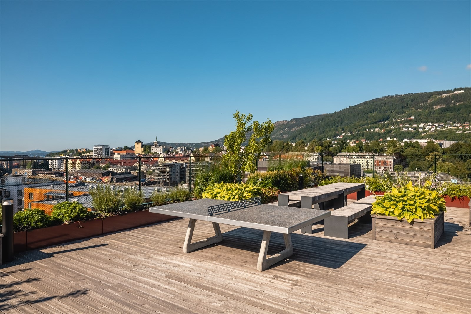 På toppen av bygget kommer man til en stor, flott takterrasse med panoramautsikt og sol fra morgen til kveld. Galleribilde
