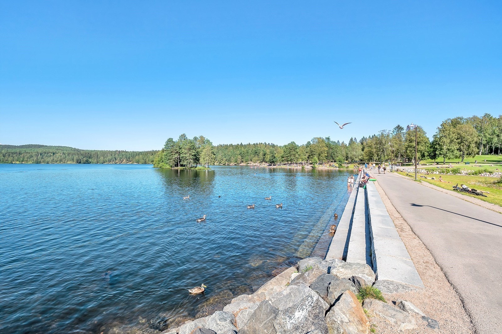 Sognsvann. Galleribilde