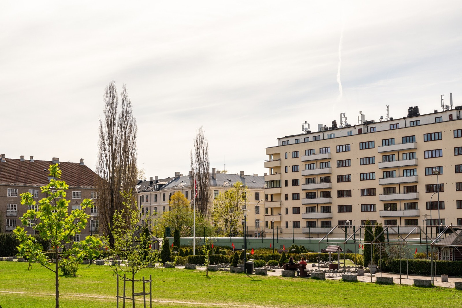 Nærområdet. Galleribilde