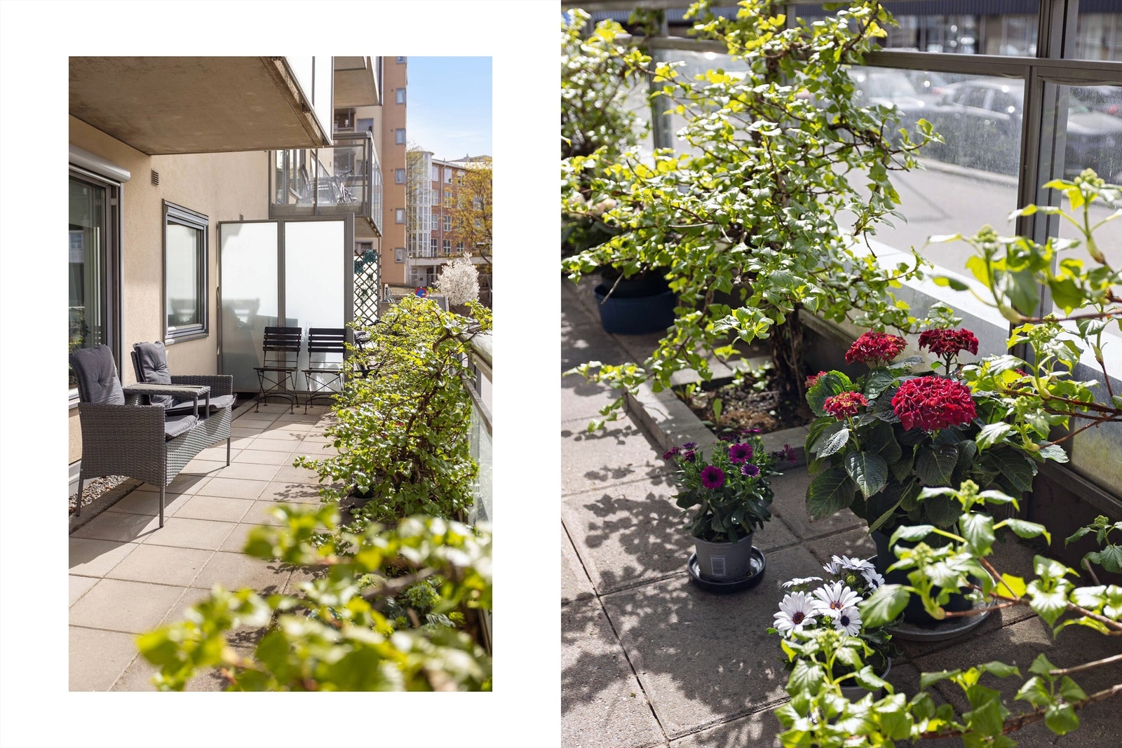 Frodig uteplass med god plass til å nyte sommerdagene. Galleribilde