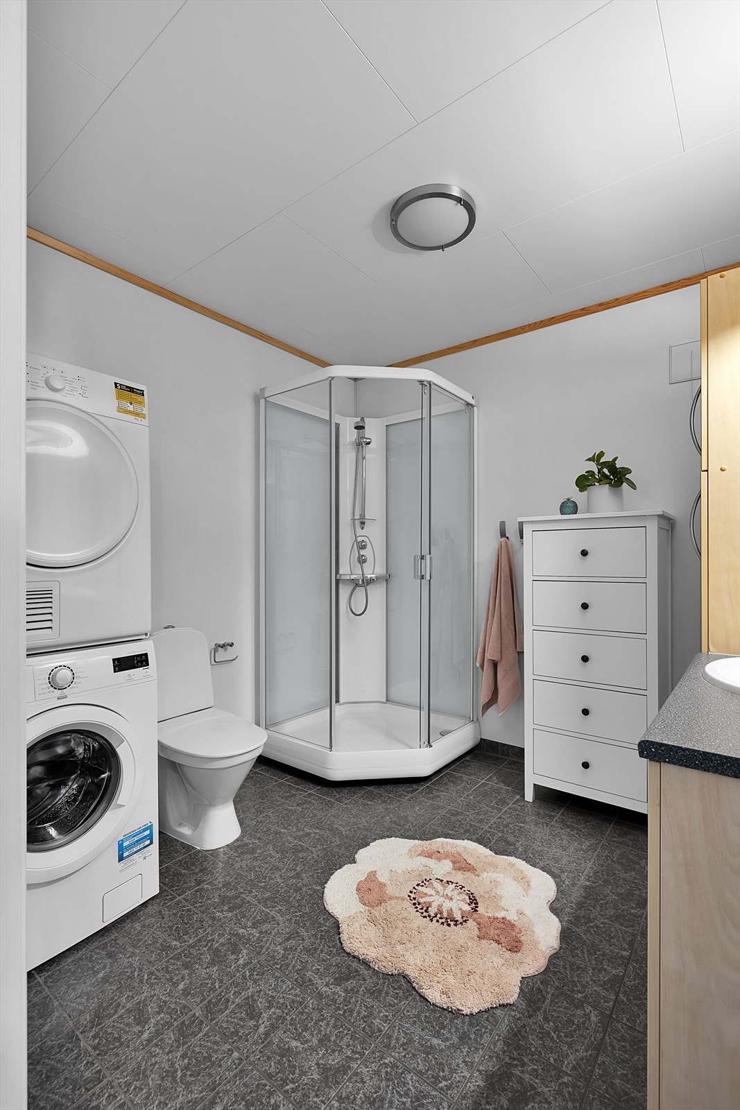 Innredet med dusjkabinett og toalett, samt opplegg for vaskemaskin. Galleribilde