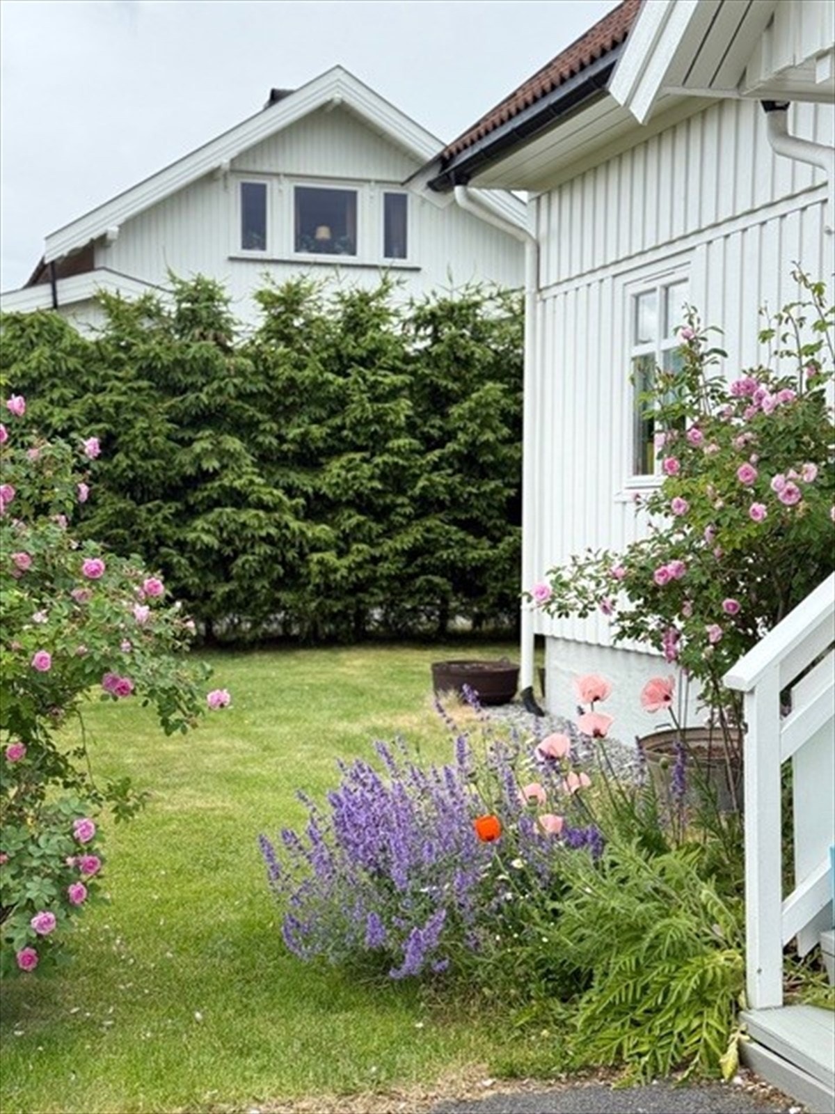 Beplanting - Selgers bilde. Galleribilde