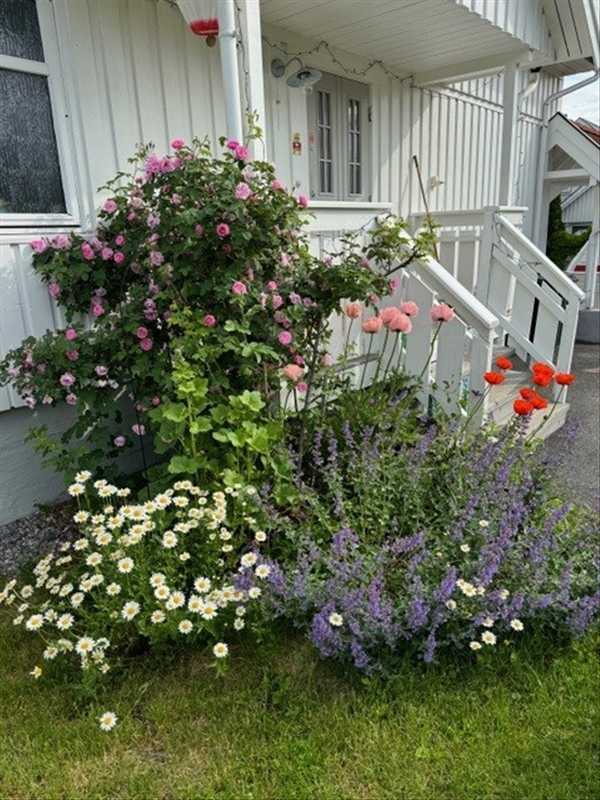 Beplanting - Selgers bilde. Galleribilde