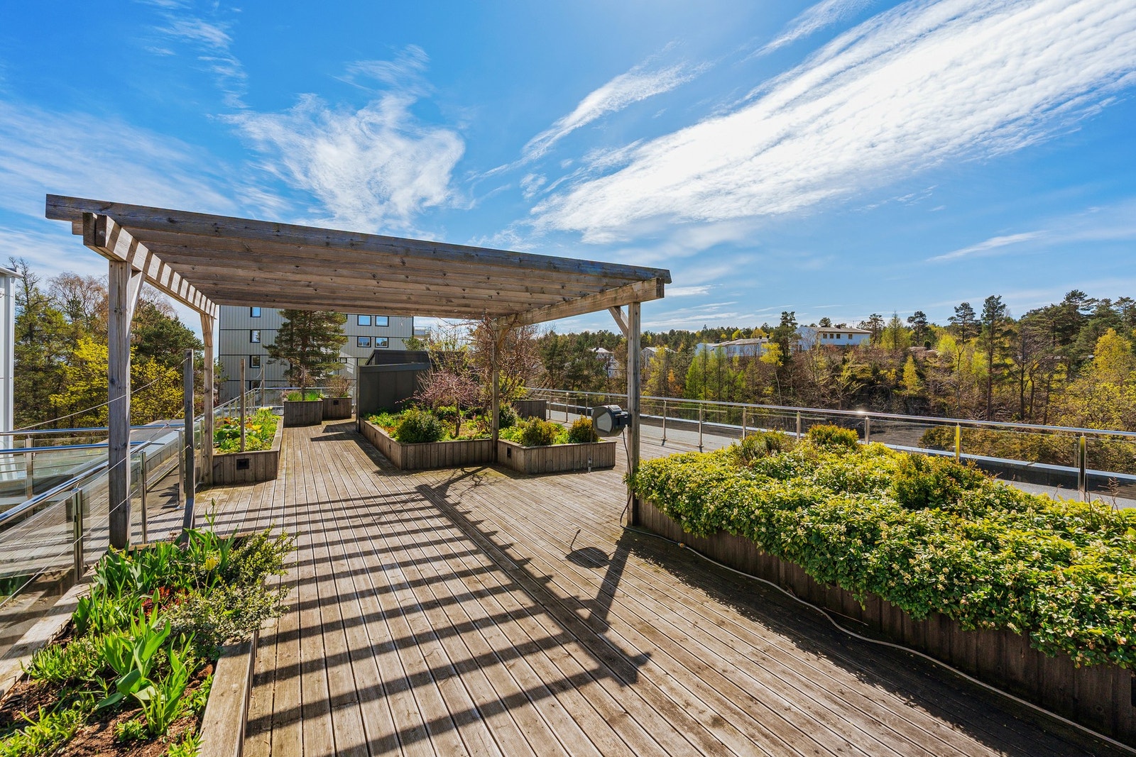 Bygget har en lekker takterrasse med flott beplanting og flere sittegrupper. Galleribilde