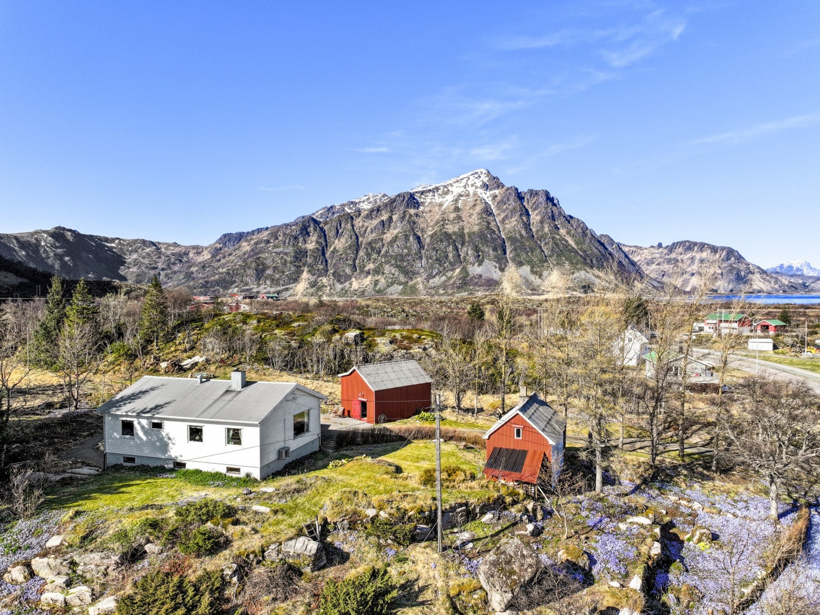 Velkommen til en hyggelig visning! Galleribilde