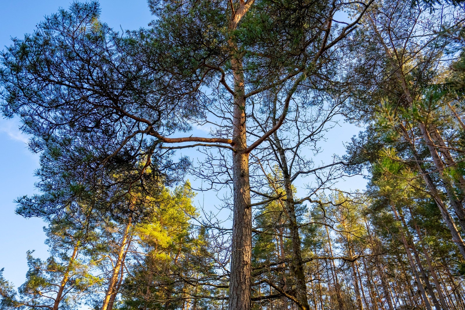 Naturskjønne omgivelser Galleribilde
