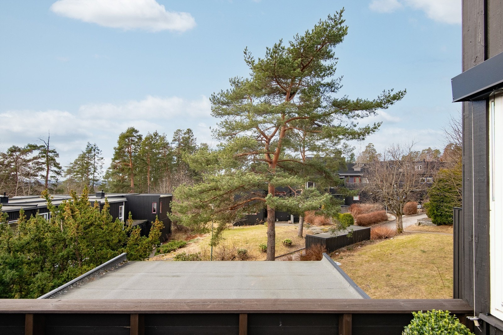 Utsikt fra terrassen over nærområdet på Munkerud. Galleribilde