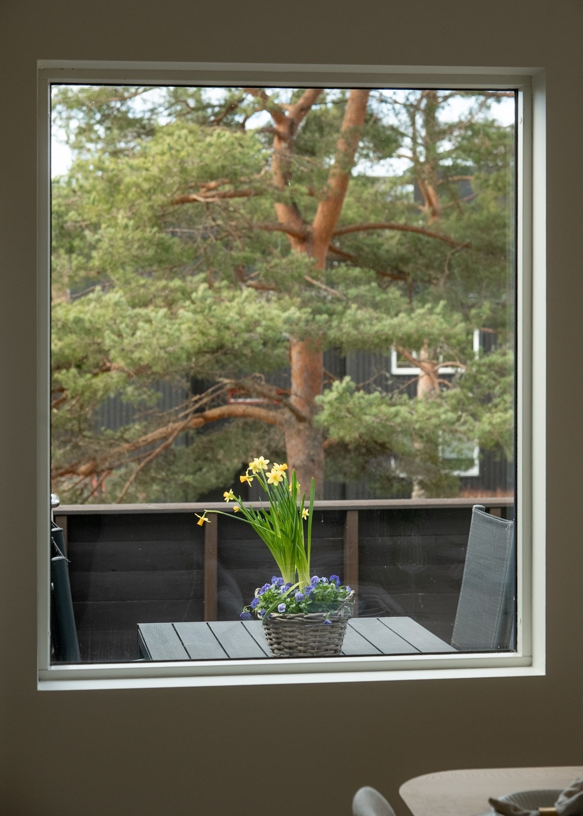Utsikt fra vindu. Galleribilde
