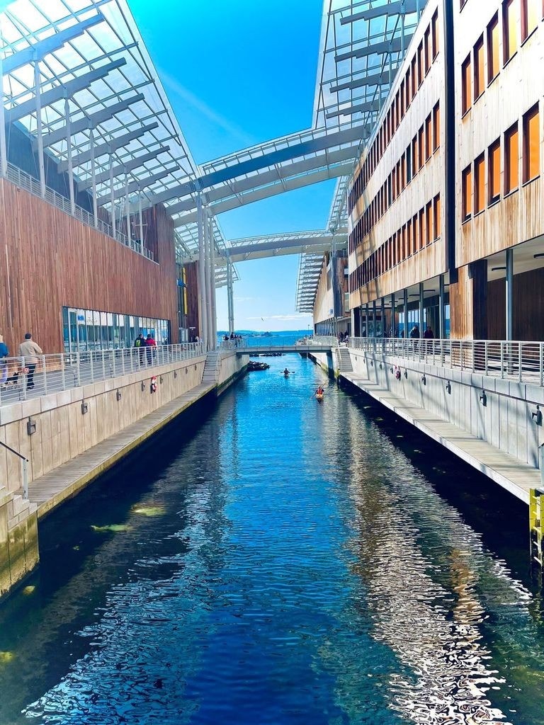 Nærområde. Galleribilde
