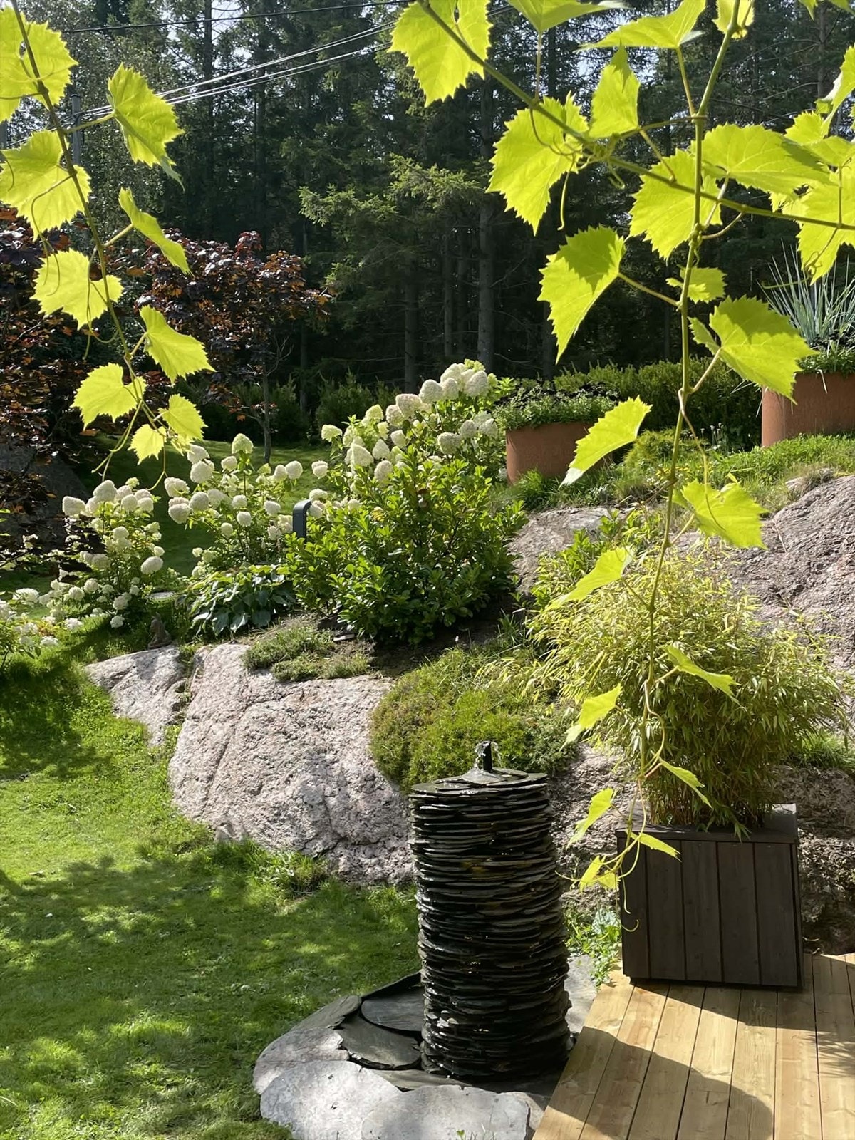 Privat bilde Galleribilde
