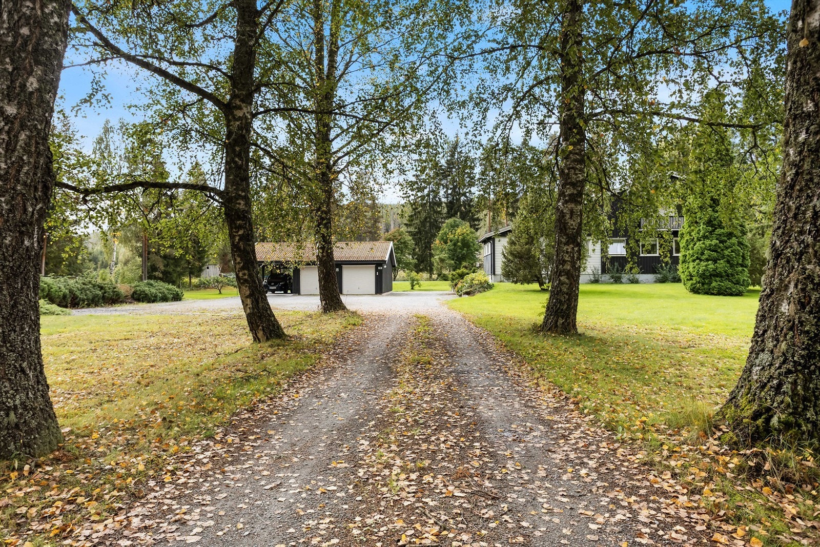 Innkjørsel til eiendommen. Galleribilde