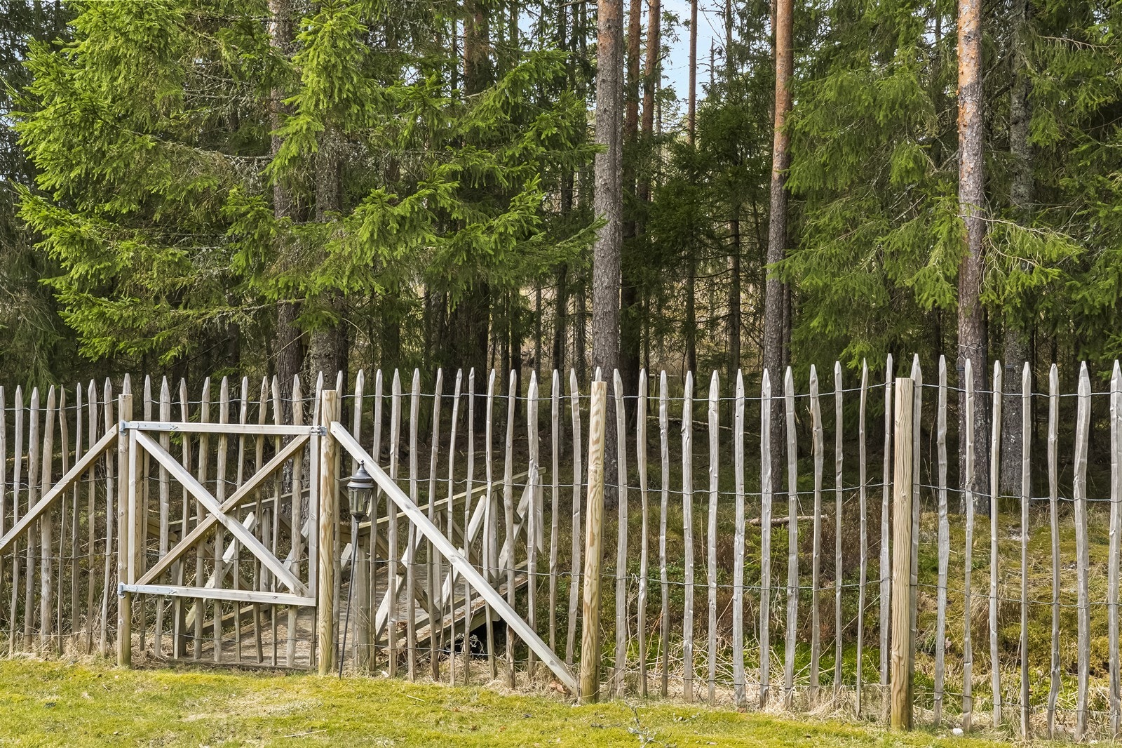 Eiendommen ligger usjenert til med skogen som nærmeste nabo. Galleribilde