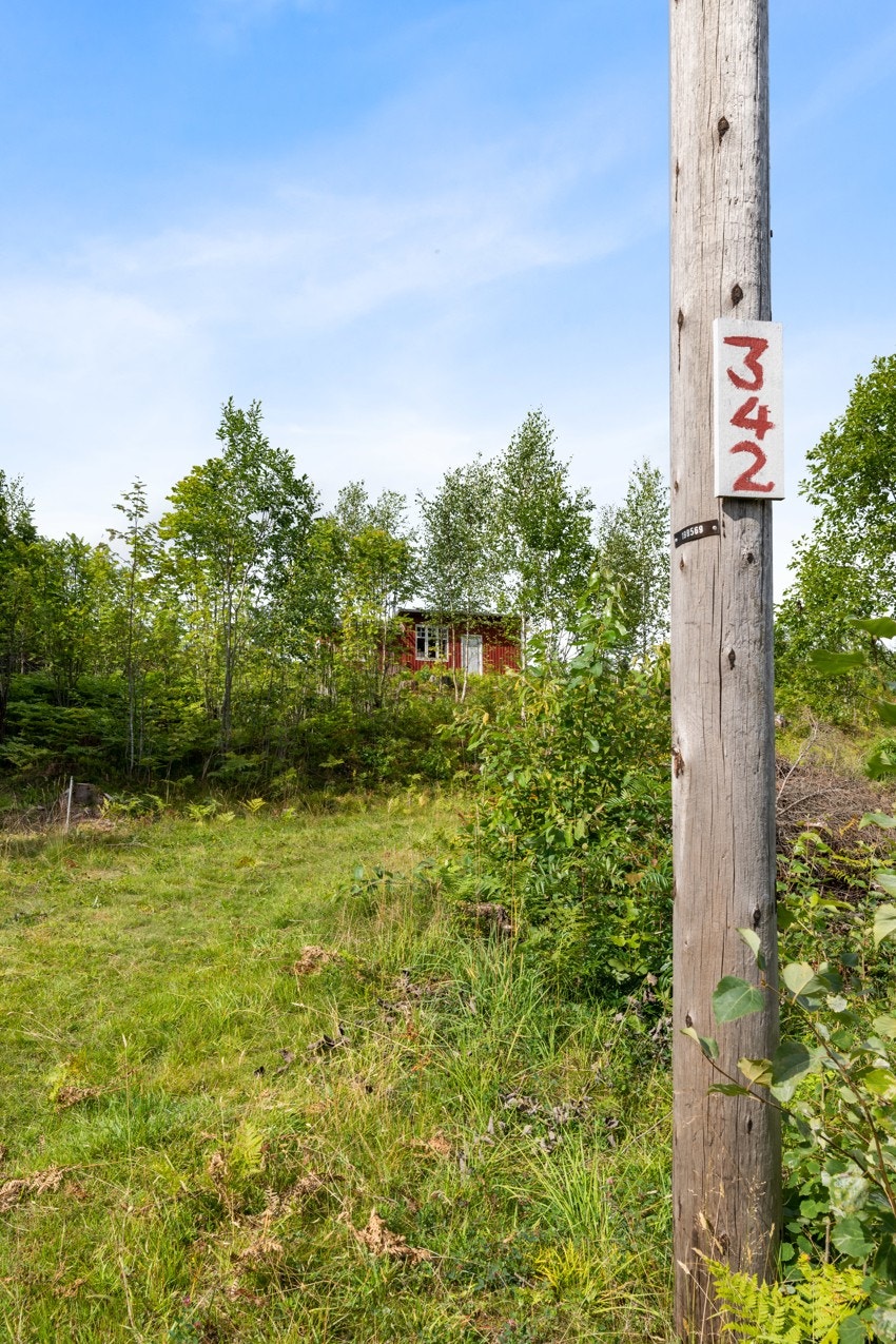 Veg opp Galleribilde