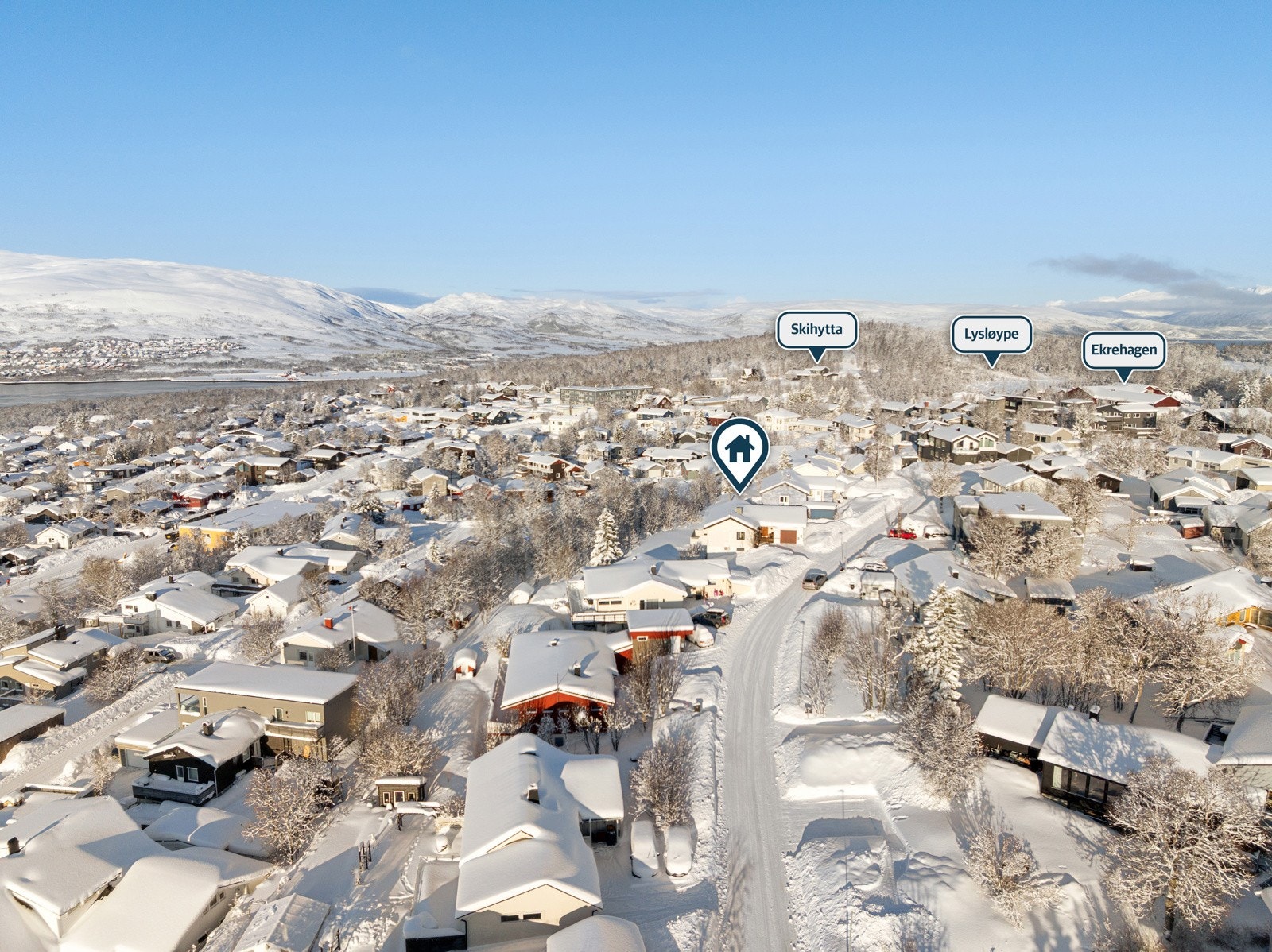 Opparbeidet tomt med plen og prydbusker.