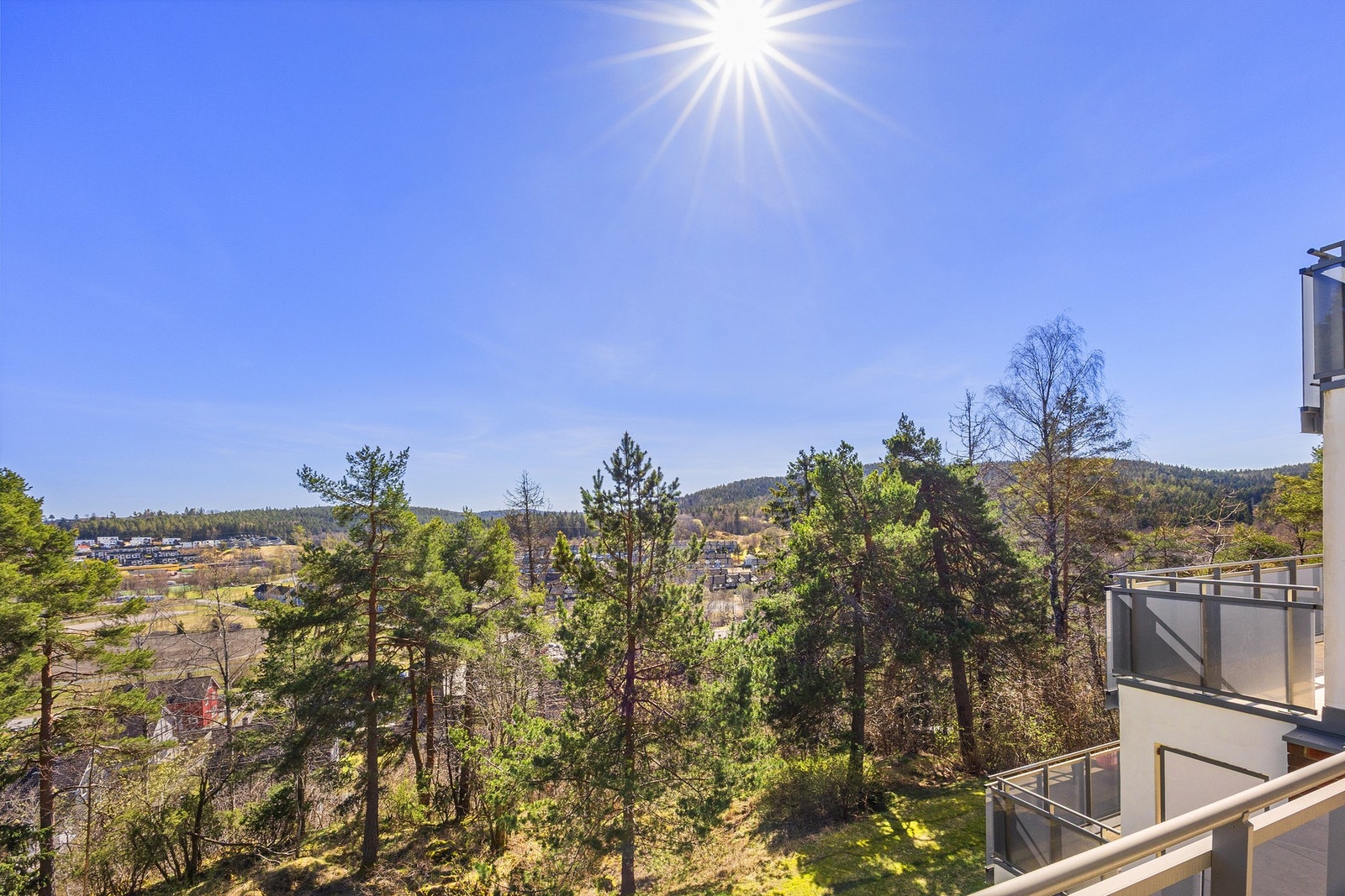 Grønn og luftig utsyn. Galleribilde