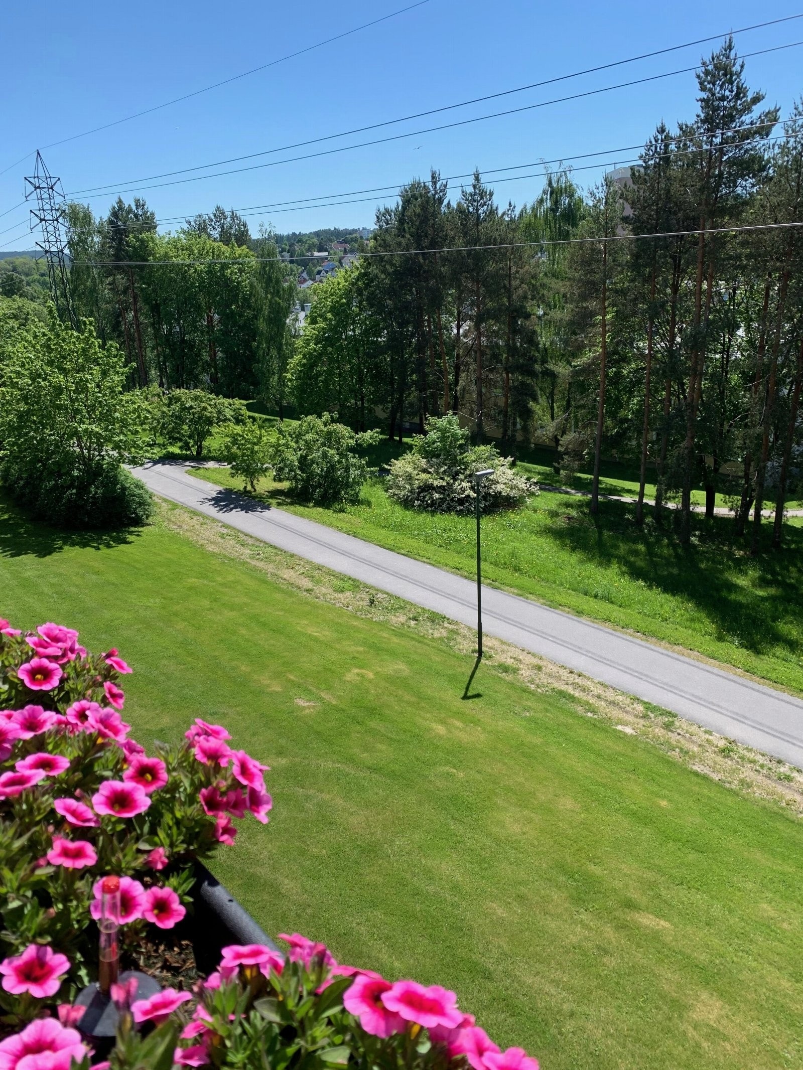 Foto i regi av selger. Galleribilde