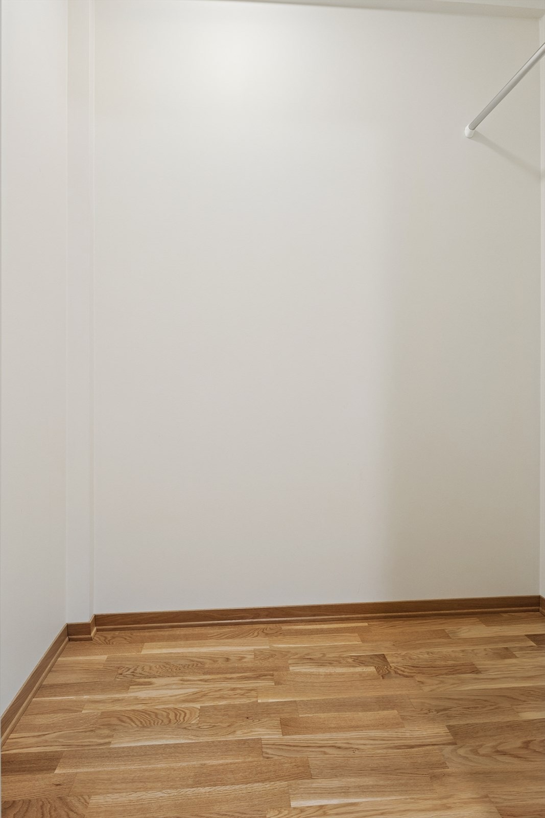 Disp.rom, Fotograf Mikal Børsheim Galleribilde
