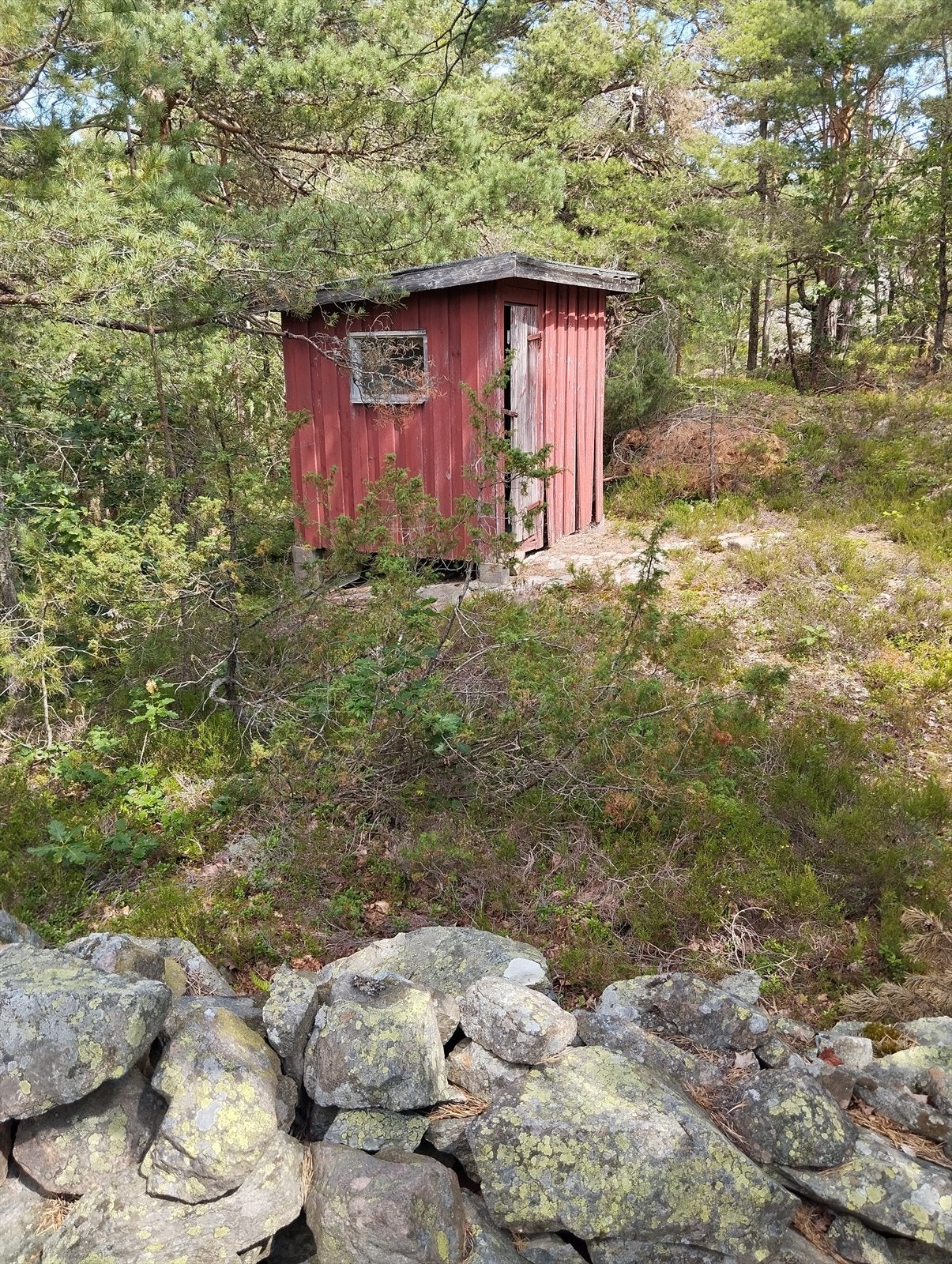 Risøya 8 Galleribilde