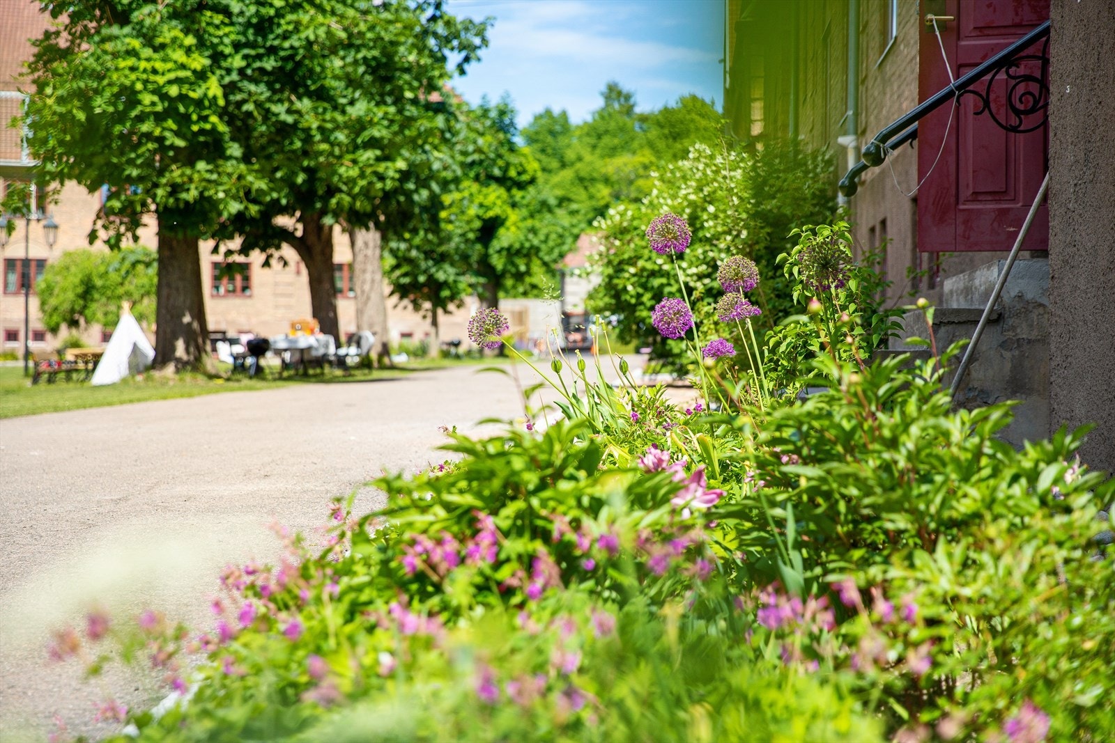 Hagebyen sommerstid. Galleribilde