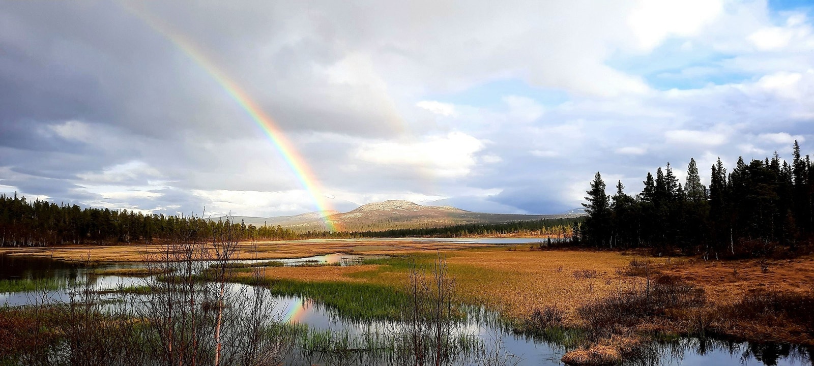 Idyllisk ved Løvåsvannet. Galleribilde
