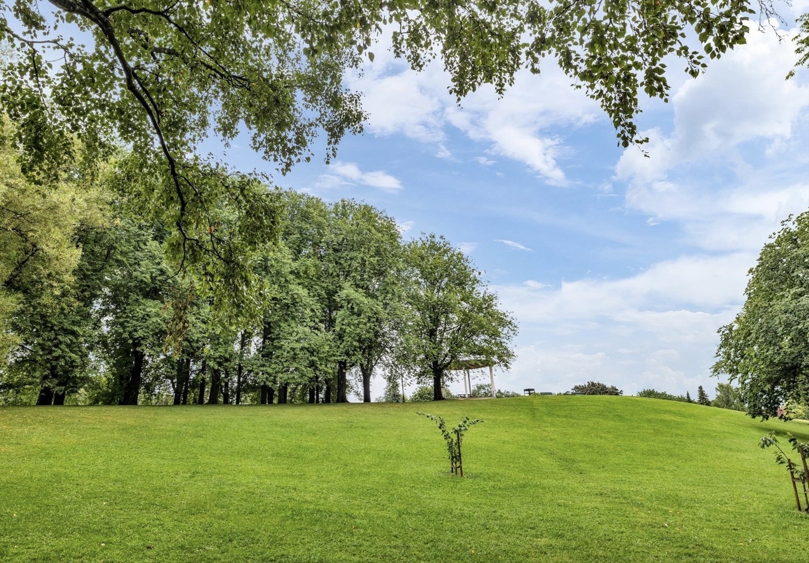 Torshovparken er et rolig og grønt fristed i byen - perfekt for å senke skuldrene og nyte øyeblikket. Galleribilde