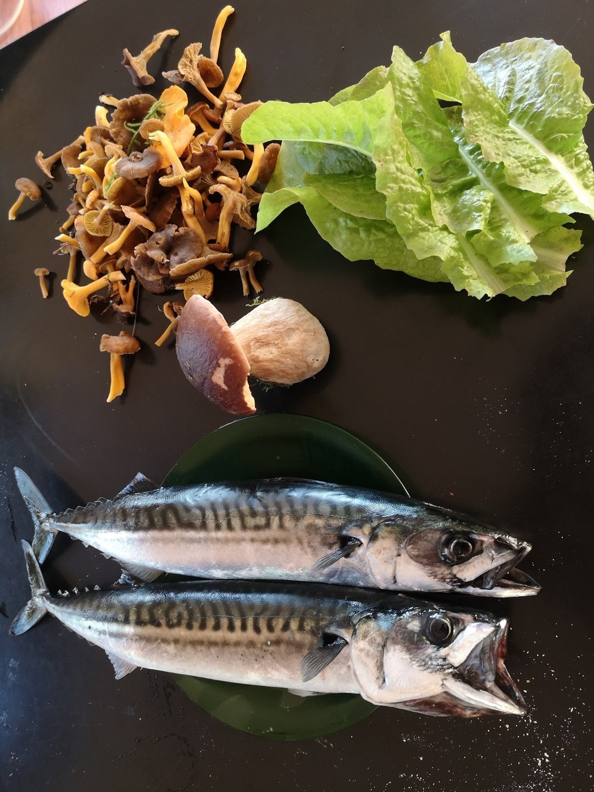 Selgers bilde, kortreist mat etter fisketur. Galleribilde