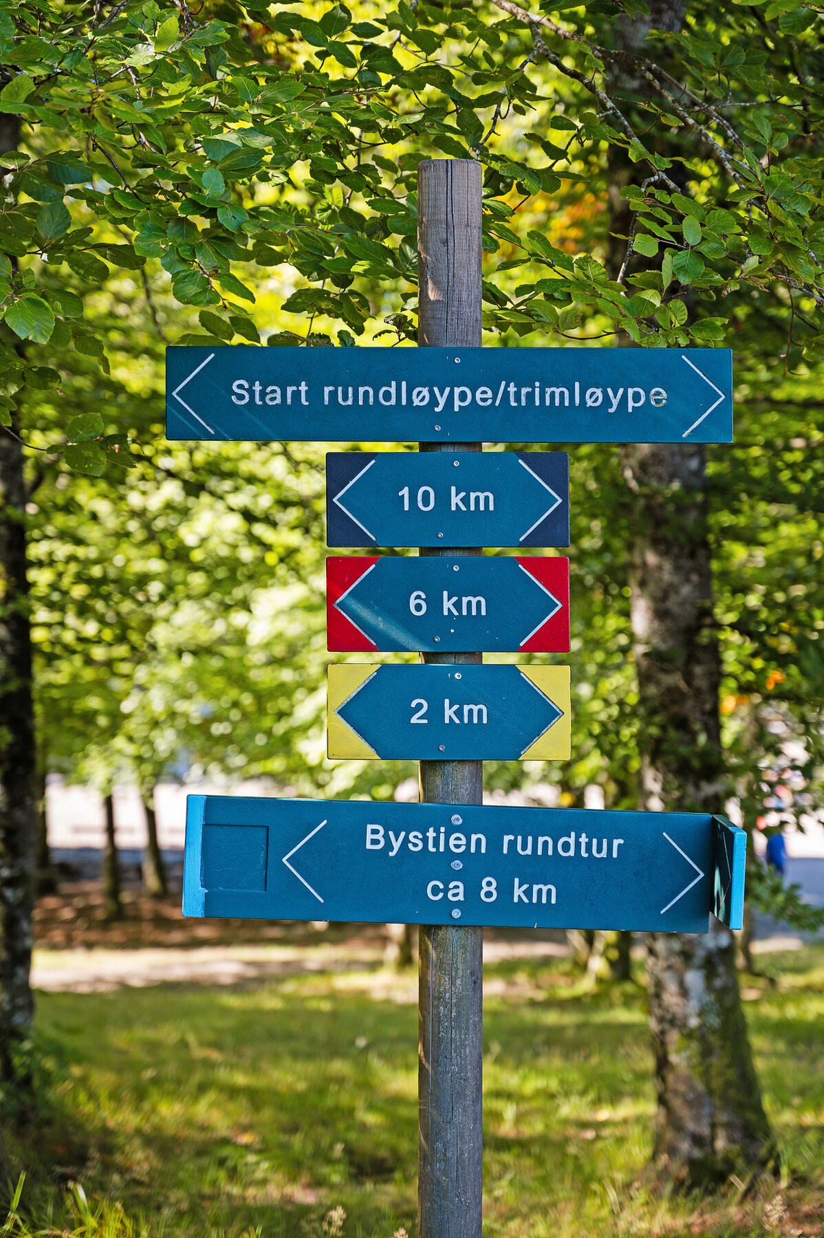 Umiddelbar nærhet til Bøkeskogen! Galleribilde