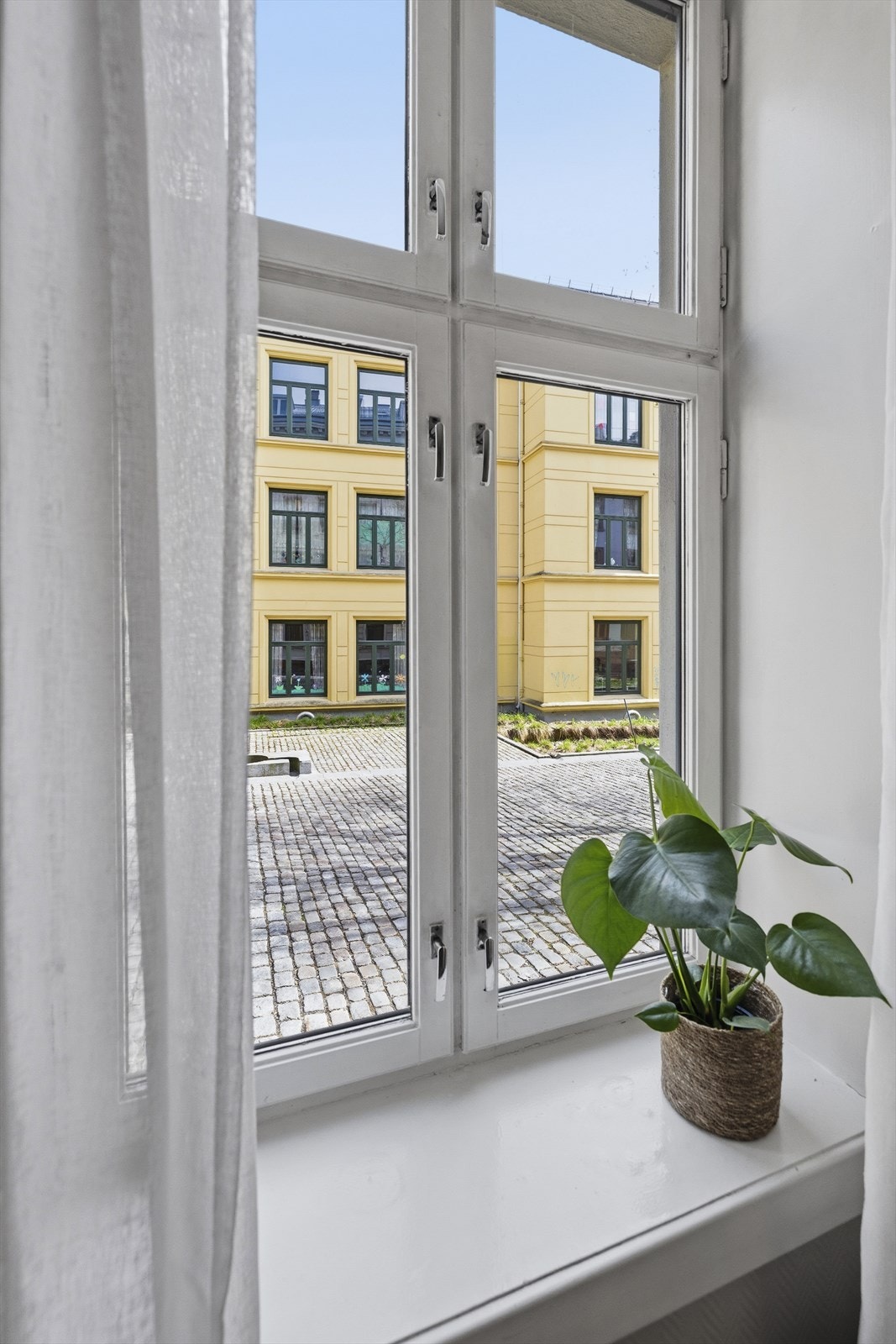 Vinduer med 3-lags isolerglass i treramme. Galleribilde