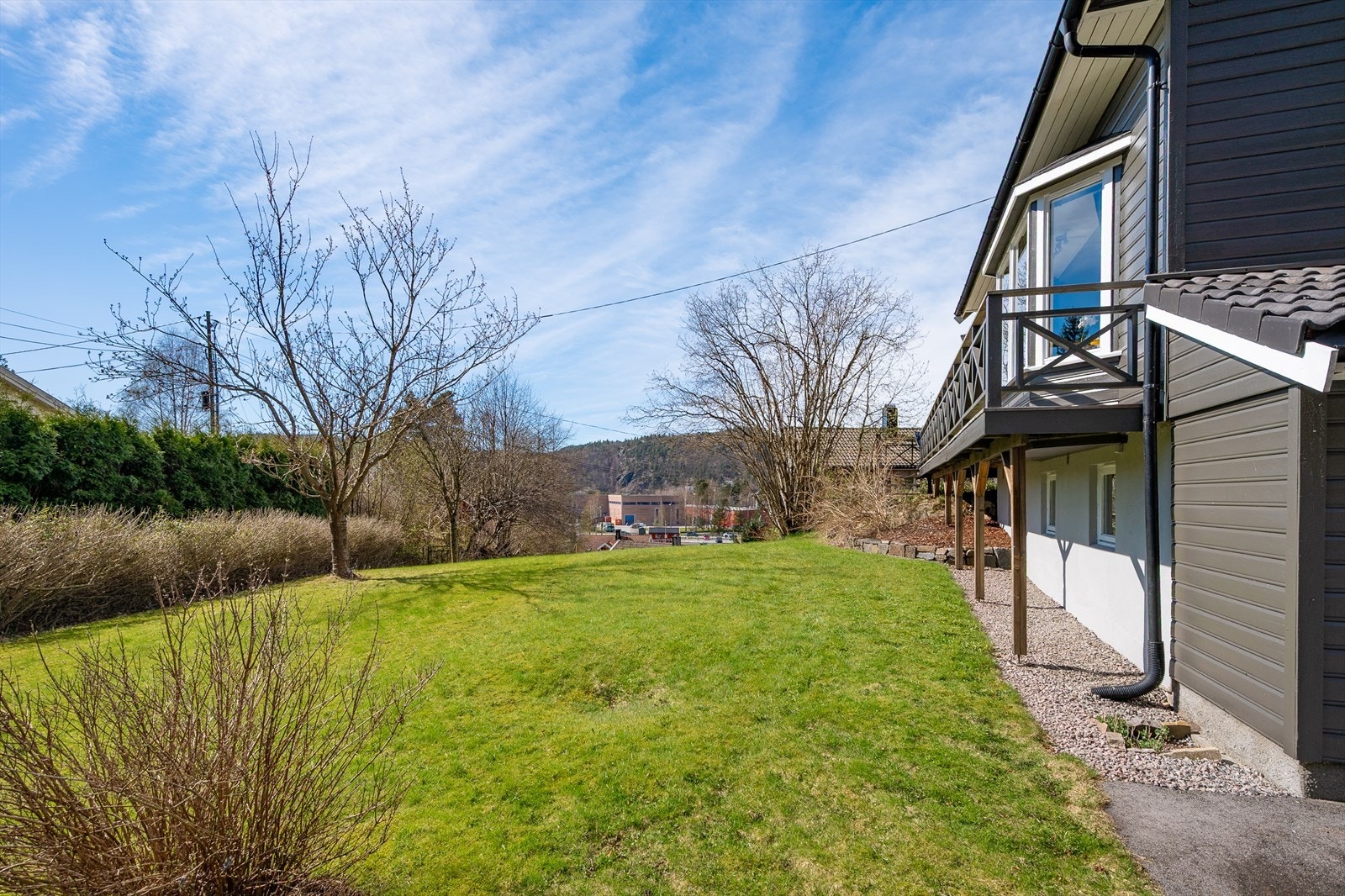 Etablert plen og beplantning Galleribilde