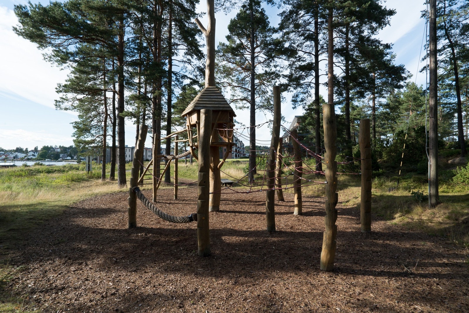 Eventyrskogen - her kryr det av fugleliv Galleribilde