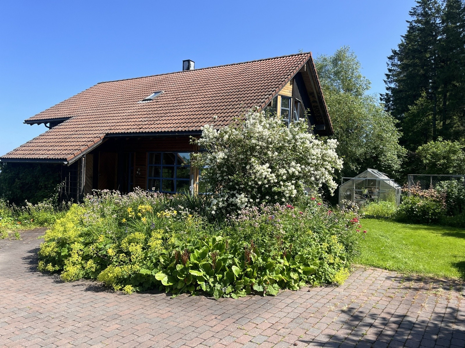 Sommer Galleribilde