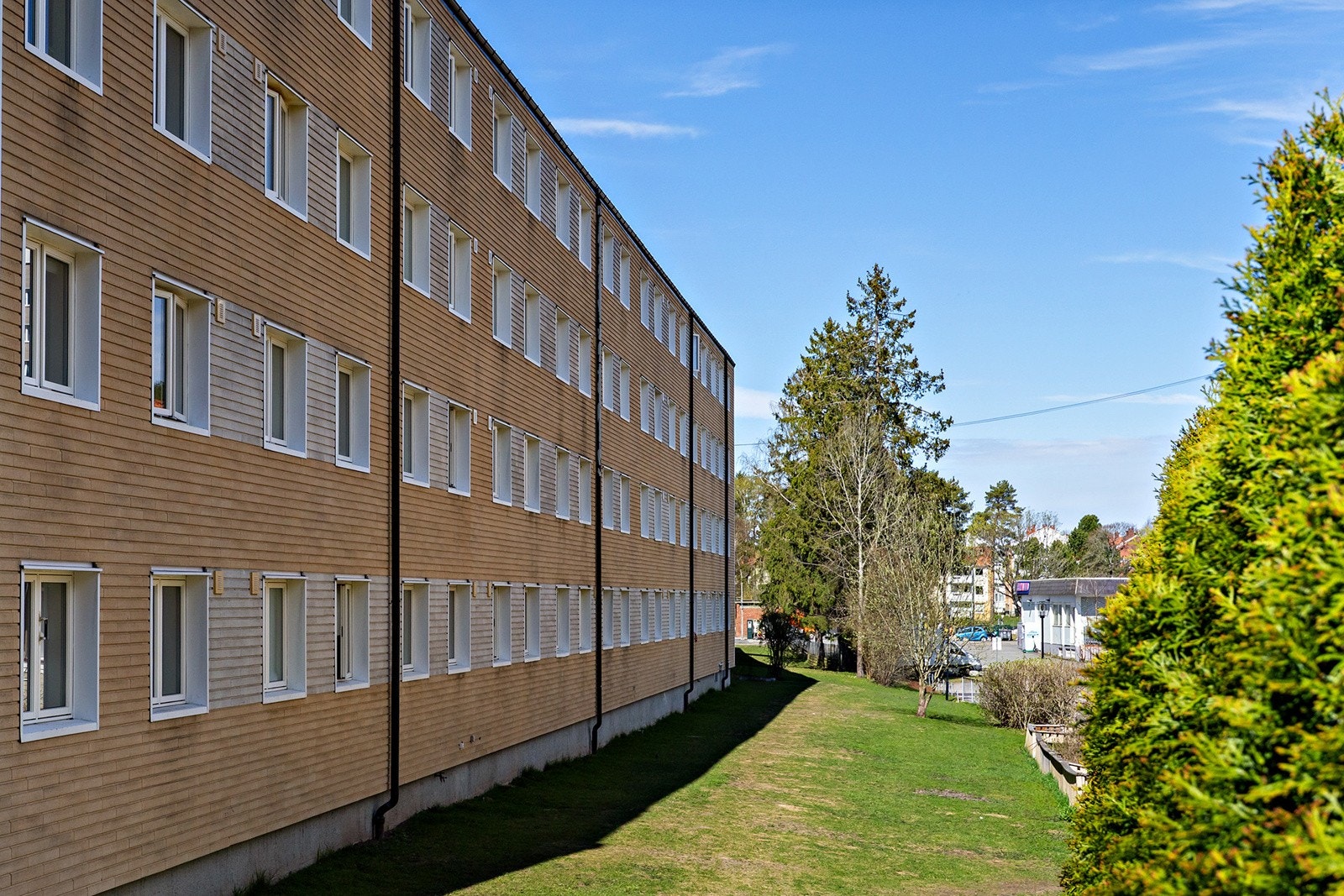 Grøntarealer rundt blokken Galleribilde