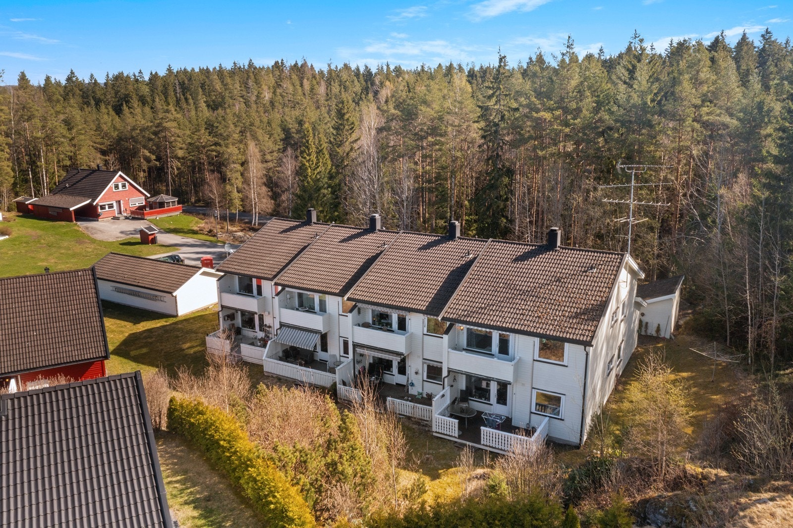 Velkommen til Haretråkket! Galleribilde