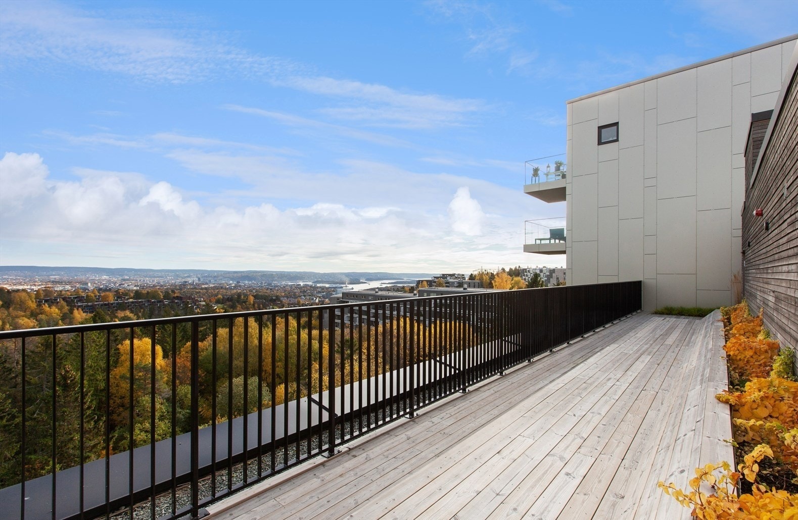 Felles takterrasse med flott utsikt over Oslo. Galleribilde