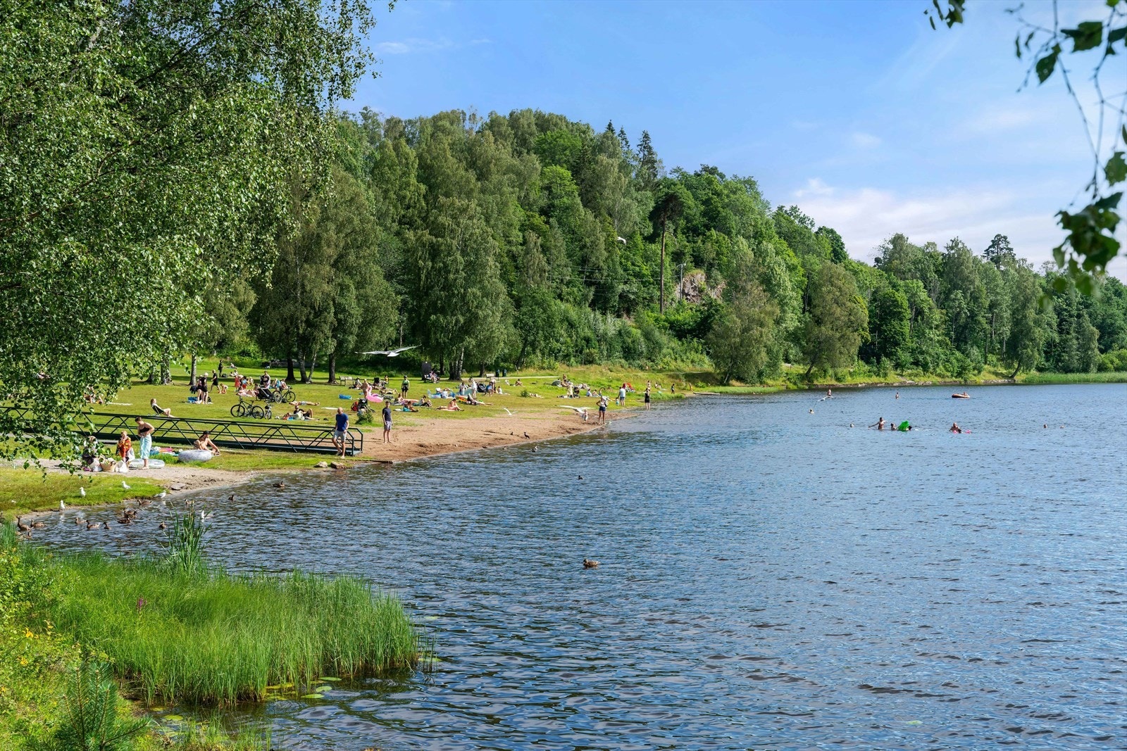 Med Nordmarka som nærmeste nabo har du direkte tilgang til flotte badeområder og unike turmuligheter året rundt. Galleribilde