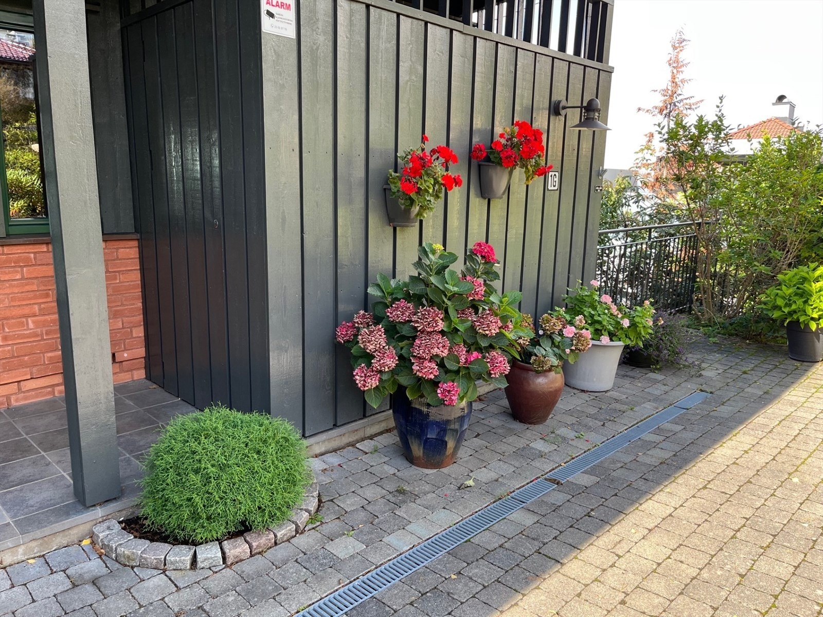 Flott beplantning som gir farge og liv rundt boligen (bilder fra selger). Galleribilde