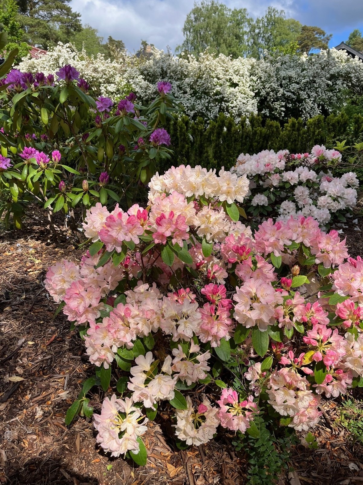 Vakre bed med beplantning som er nøye valgt for å følge årstidenes skiftende blomstringer (bilde fra selger). Galleribilde