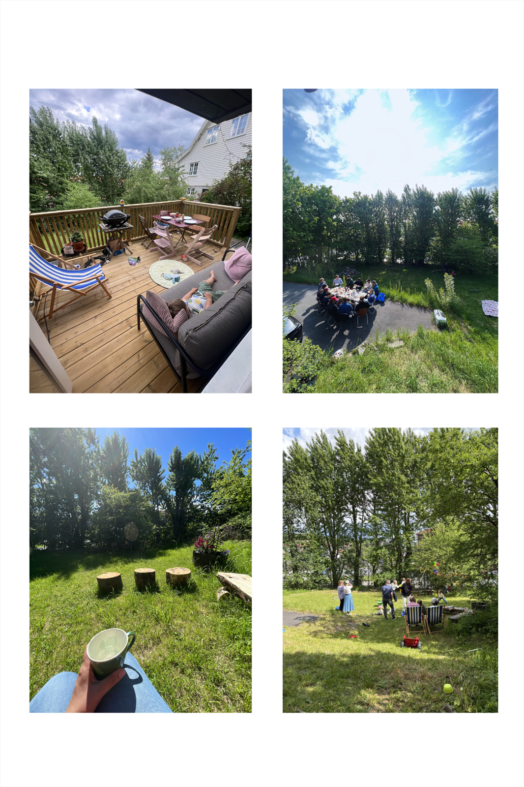 Samling av selgers private bilder fra hagen Galleribilde