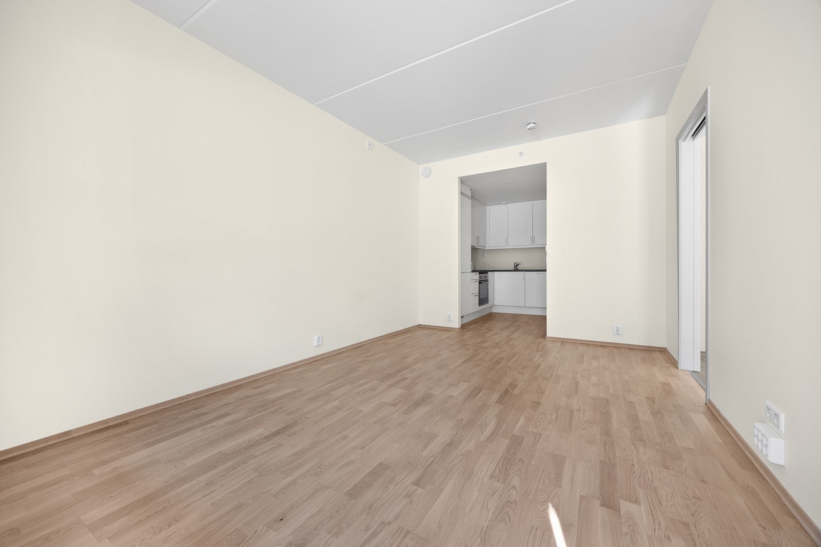 Rommet har plass til både sofagruppe og spisebord. Galleribilde