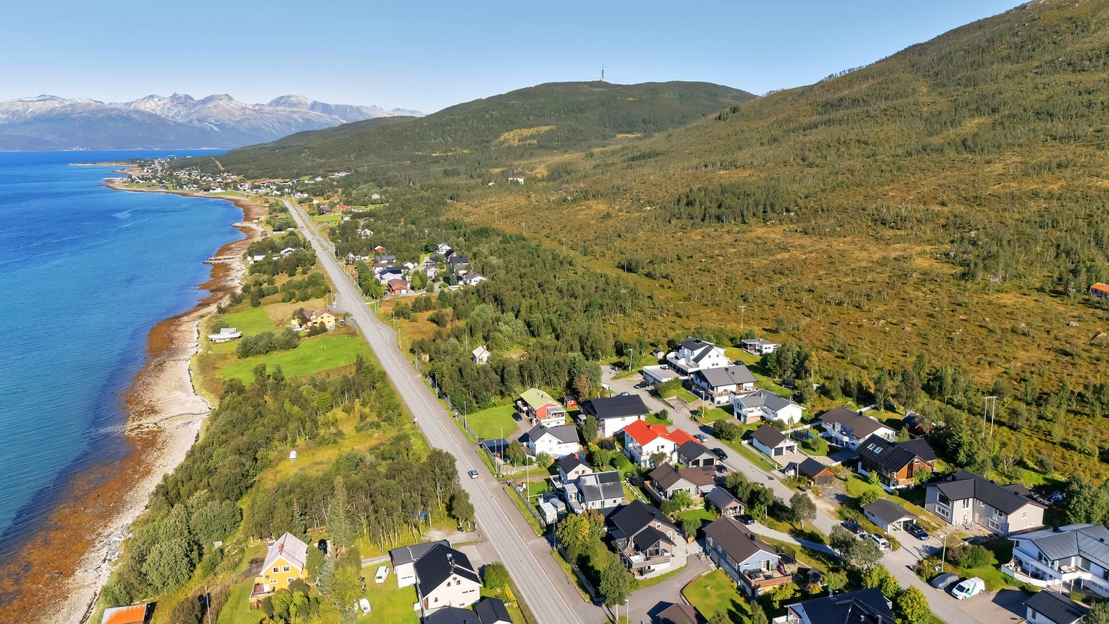 Fjæra er også bare en kort spasertur unna Galleribilde