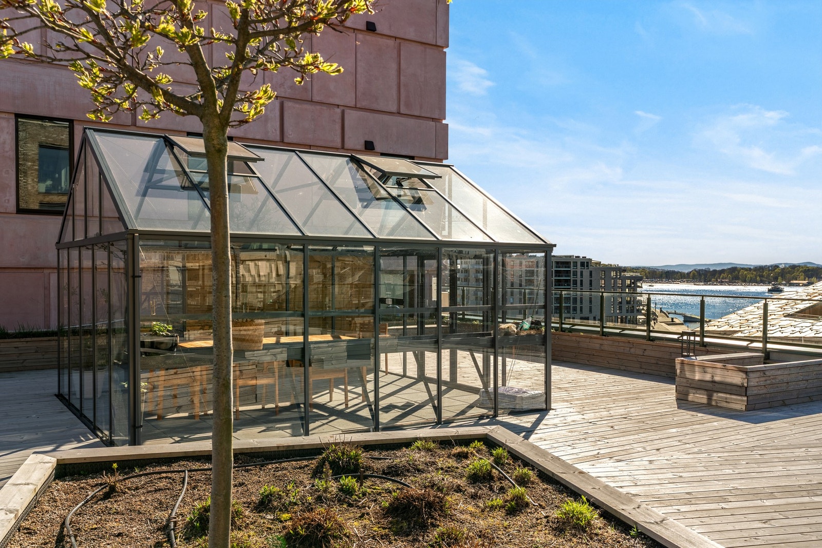En av seks felles takterrasser - to av dem med drivhus Galleribilde
