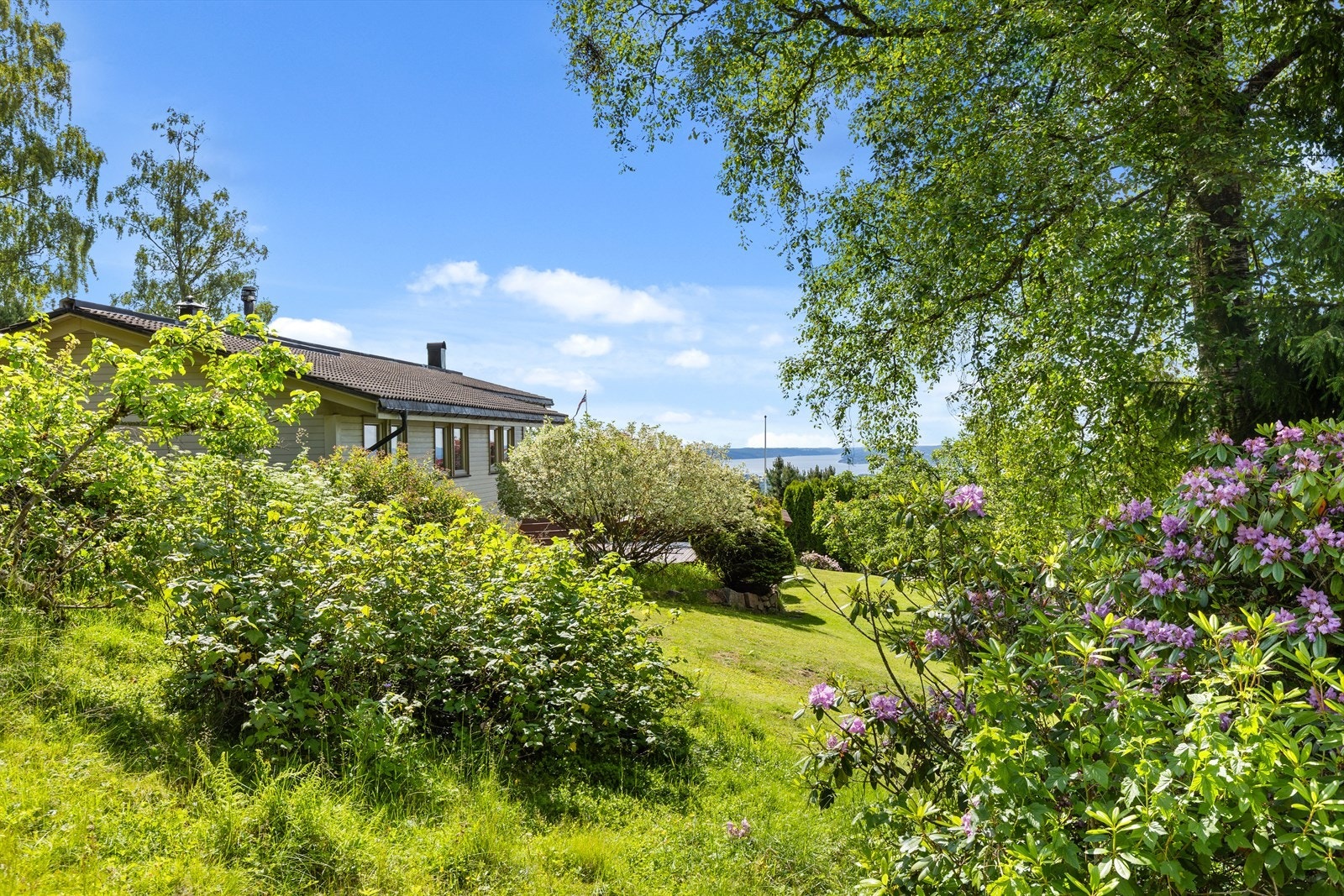 En grønn oase innerst i rolig blindvei, med flere fredfulle soner og vakker beplantning Galleribilde
