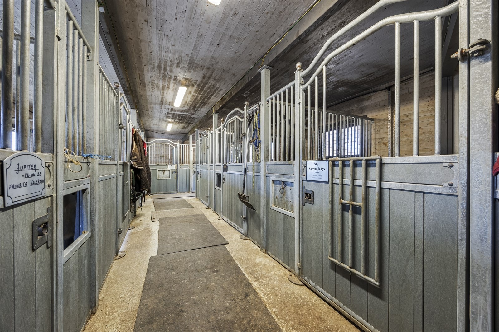 Stall - Uthus Galleribilde