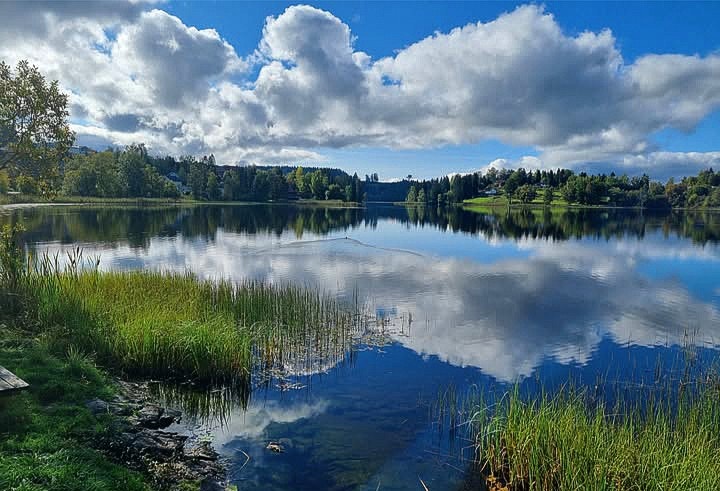 Tomten grenser mot Kalvsjøtjernet, hvor man kan ta et morgen- eller kveldsbad rett fra egen eiendom. Galleribilde