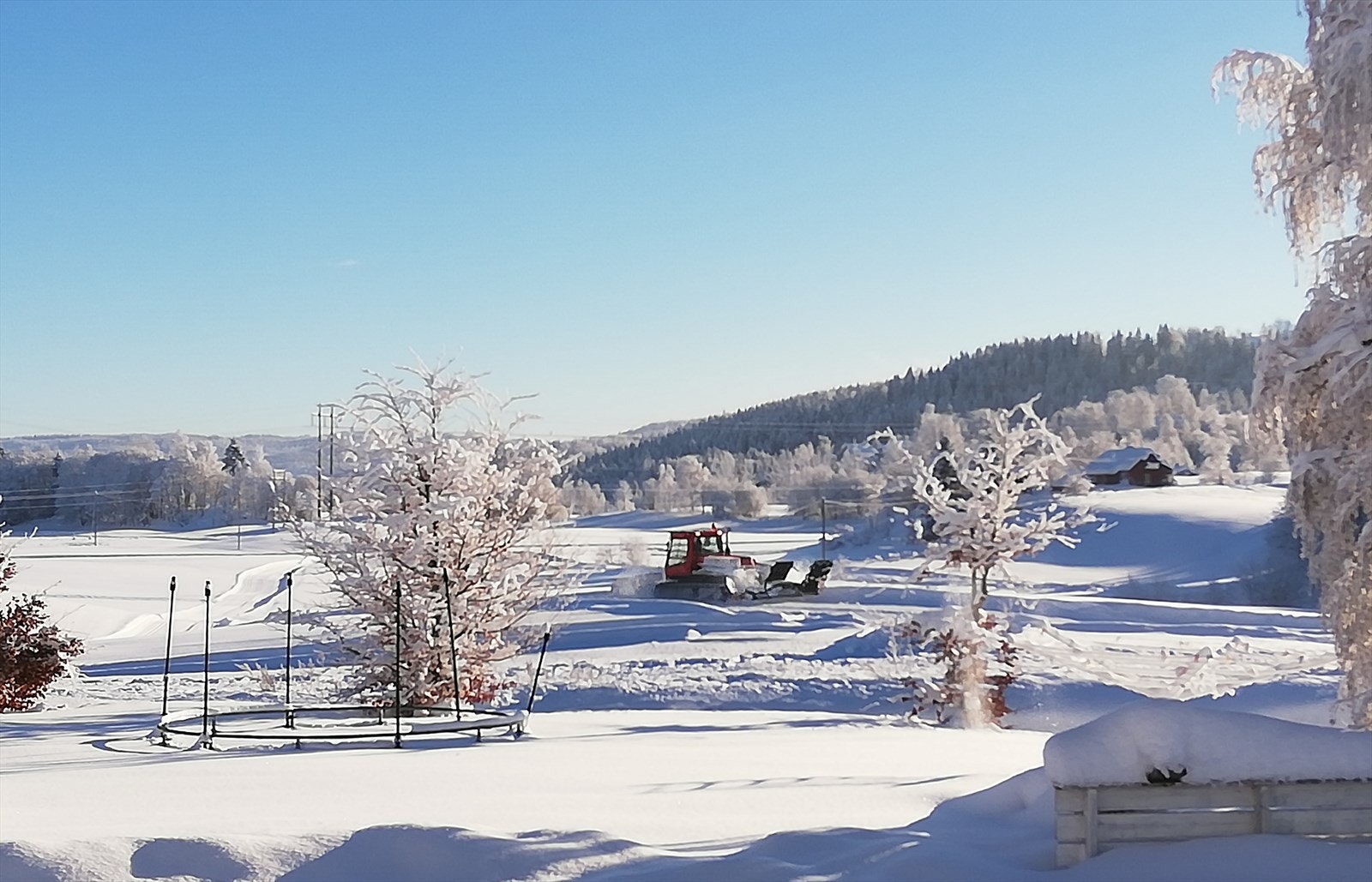 Utsikt over nærområdet på en klar vinterdag. Galleribilde