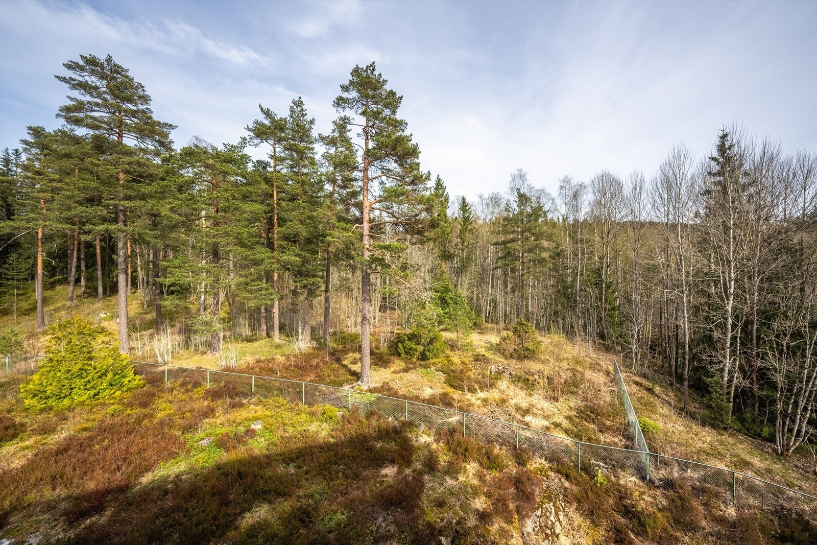 Marka ligger rett utenfor døren, med enkel tilgang til turstier og populære utfartsmål som Liastua. Galleribilde
